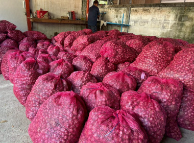 สำนักงานสหกรณ์จังหวัดกำแพงเพชร นำโดยนางสาวมณฑาทิพย์ บัวเทศ ... พารามิเตอร์รูปภาพ 20